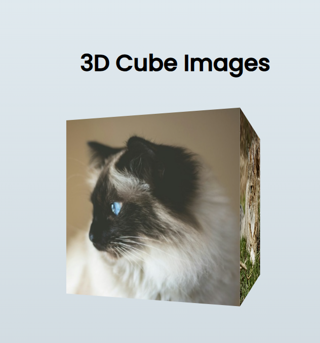 سورس ساخت یک مکعب سهبعدی با HTML، CSS، و JavaScript