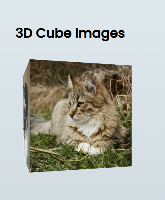 سورس ساخت یک مکعب سهبعدی با HTML، CSS، و JavaScript