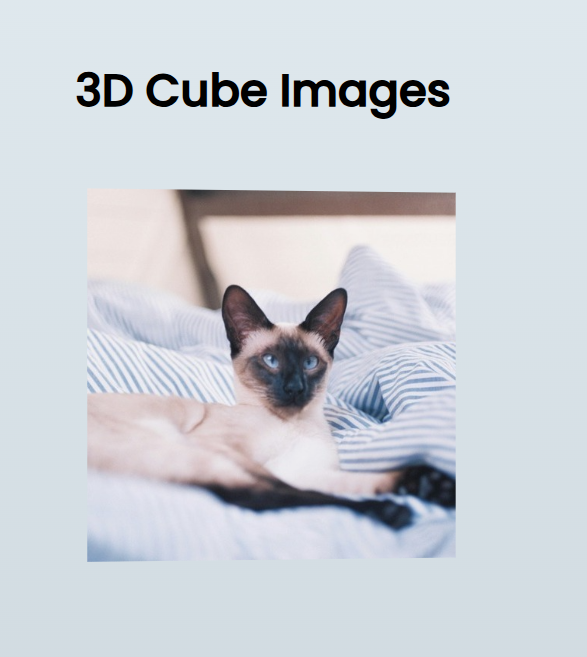 سورس ساخت یک مکعب سهبعدی با HTML، CSS، و JavaScript